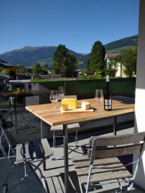 Panorama Wohung Hollersbach Im Pinzgau
